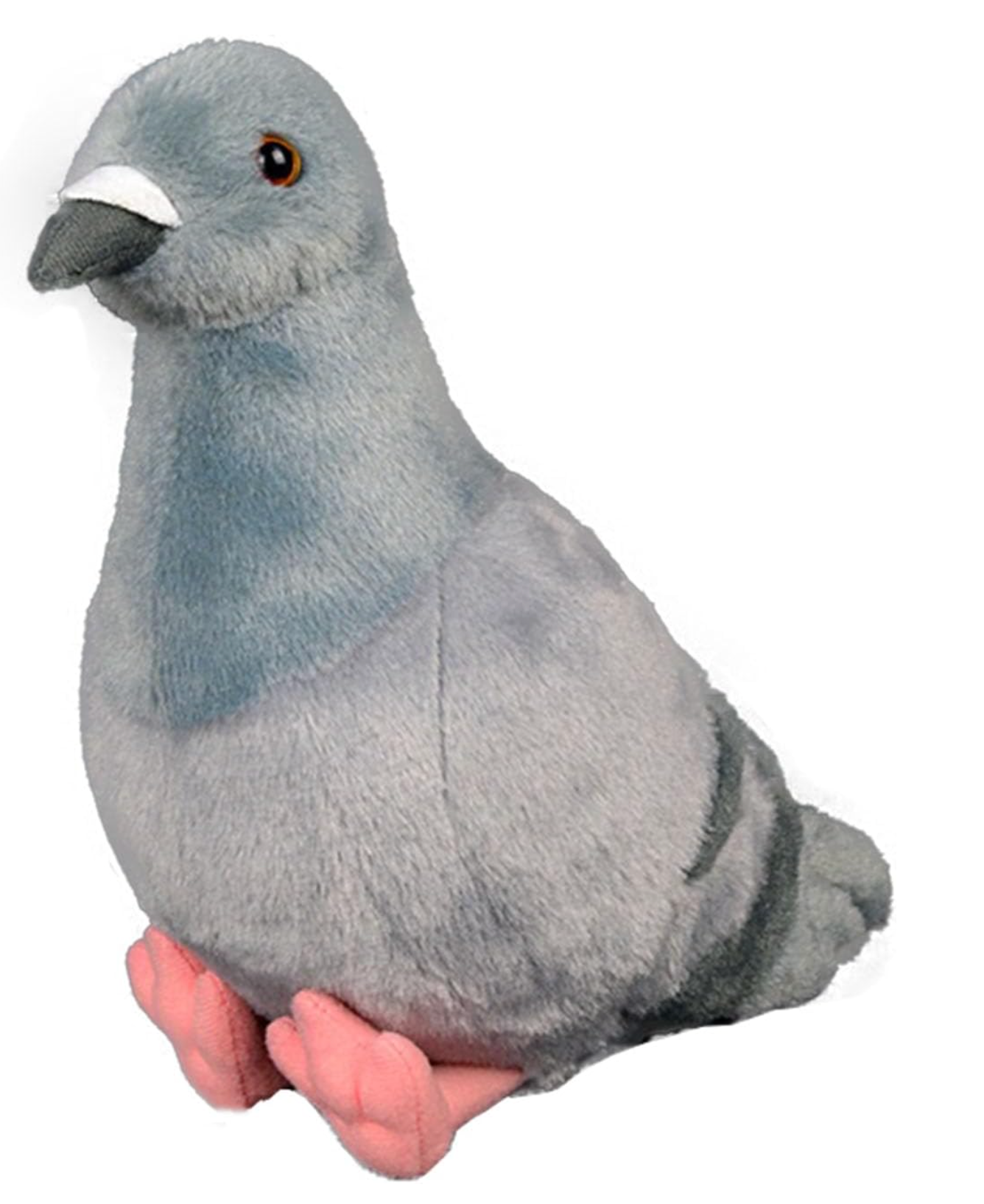 Gray Pigeon (23cm)