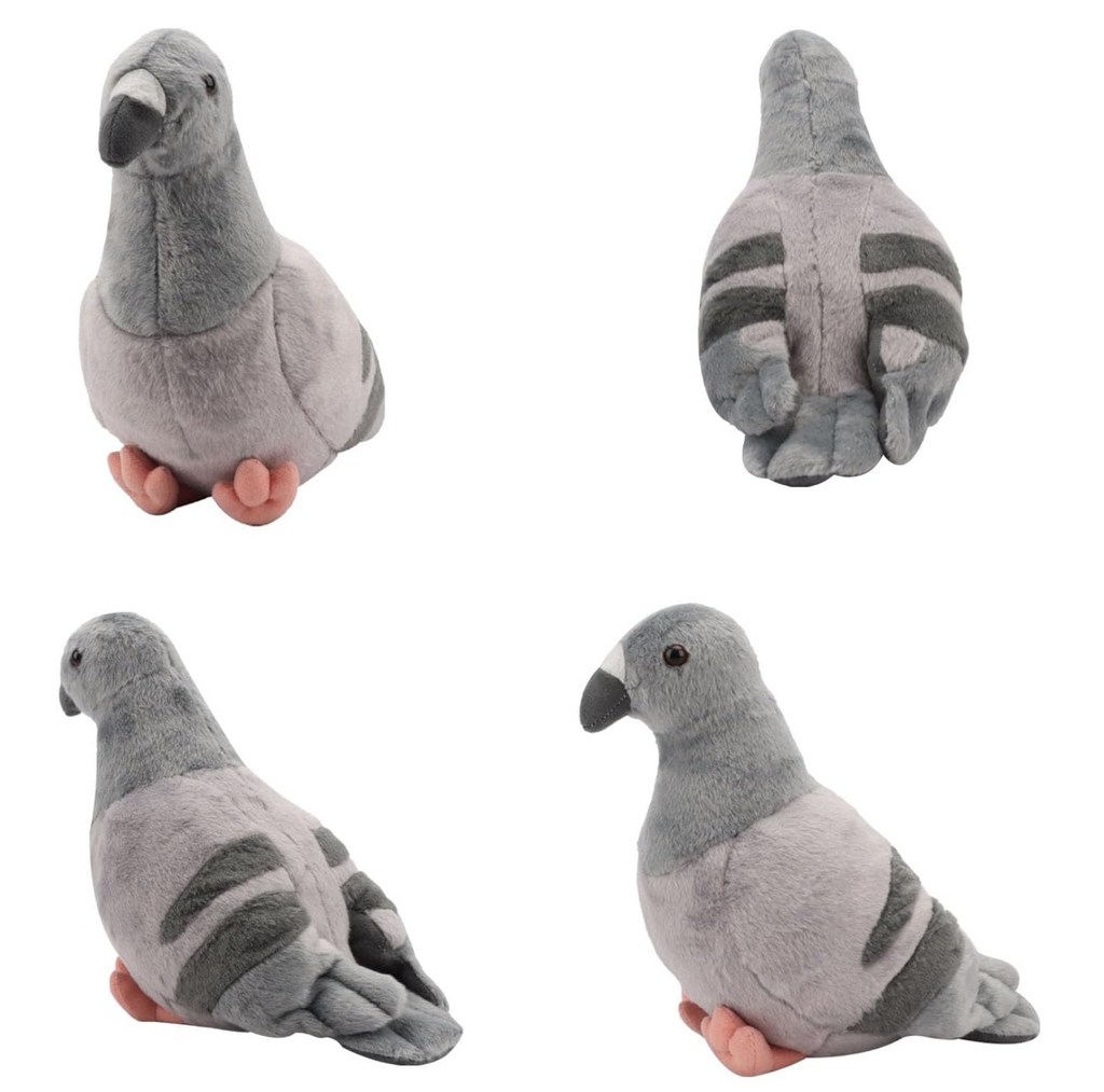 Gray Pigeon (23cm)