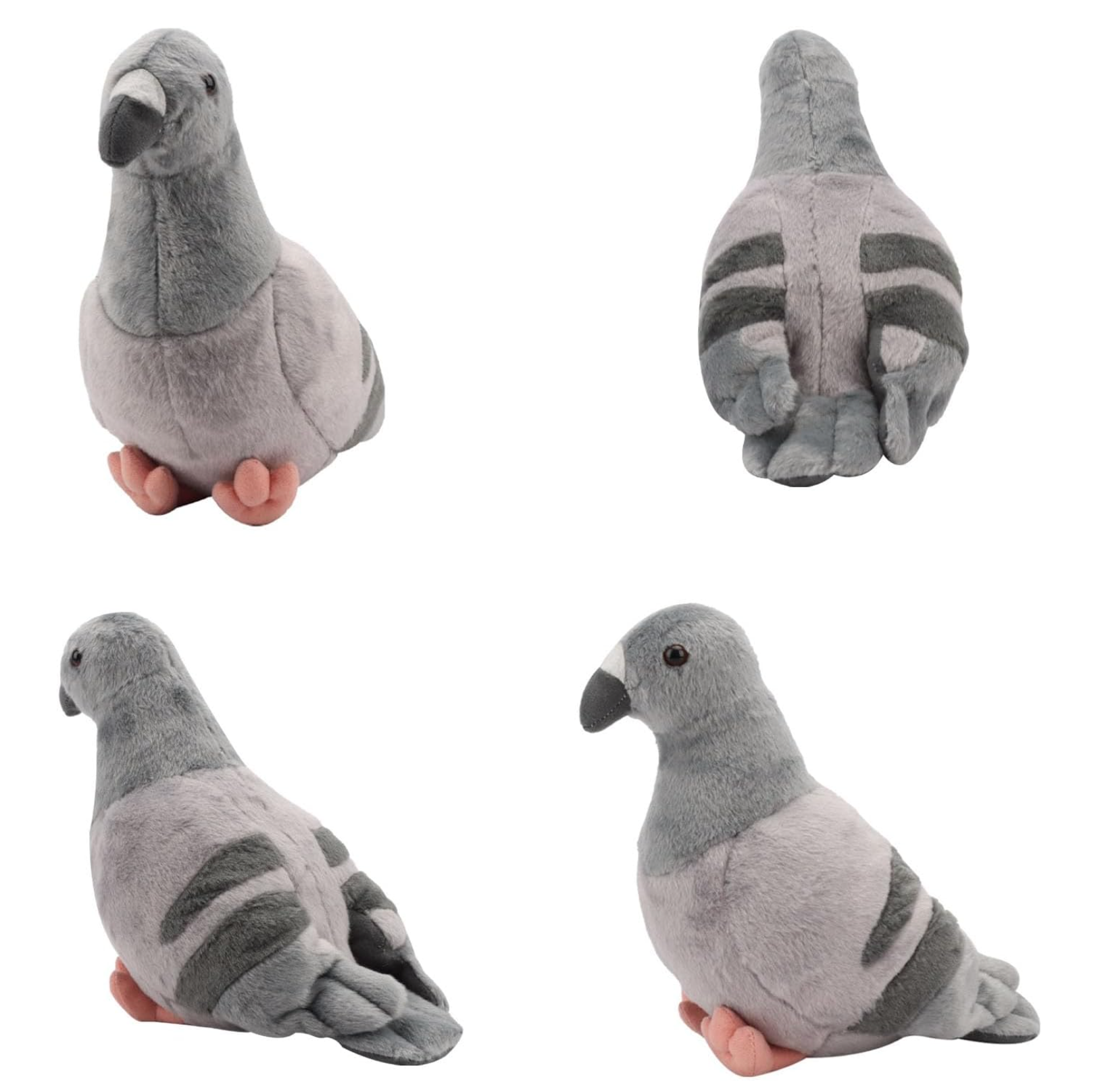 Gray Pigeon (23cm)